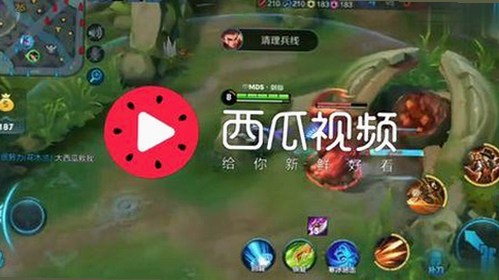 娱乐吃瓜君与闺蜜的“吃瓜”日常：从免费阅读到携手打掩护